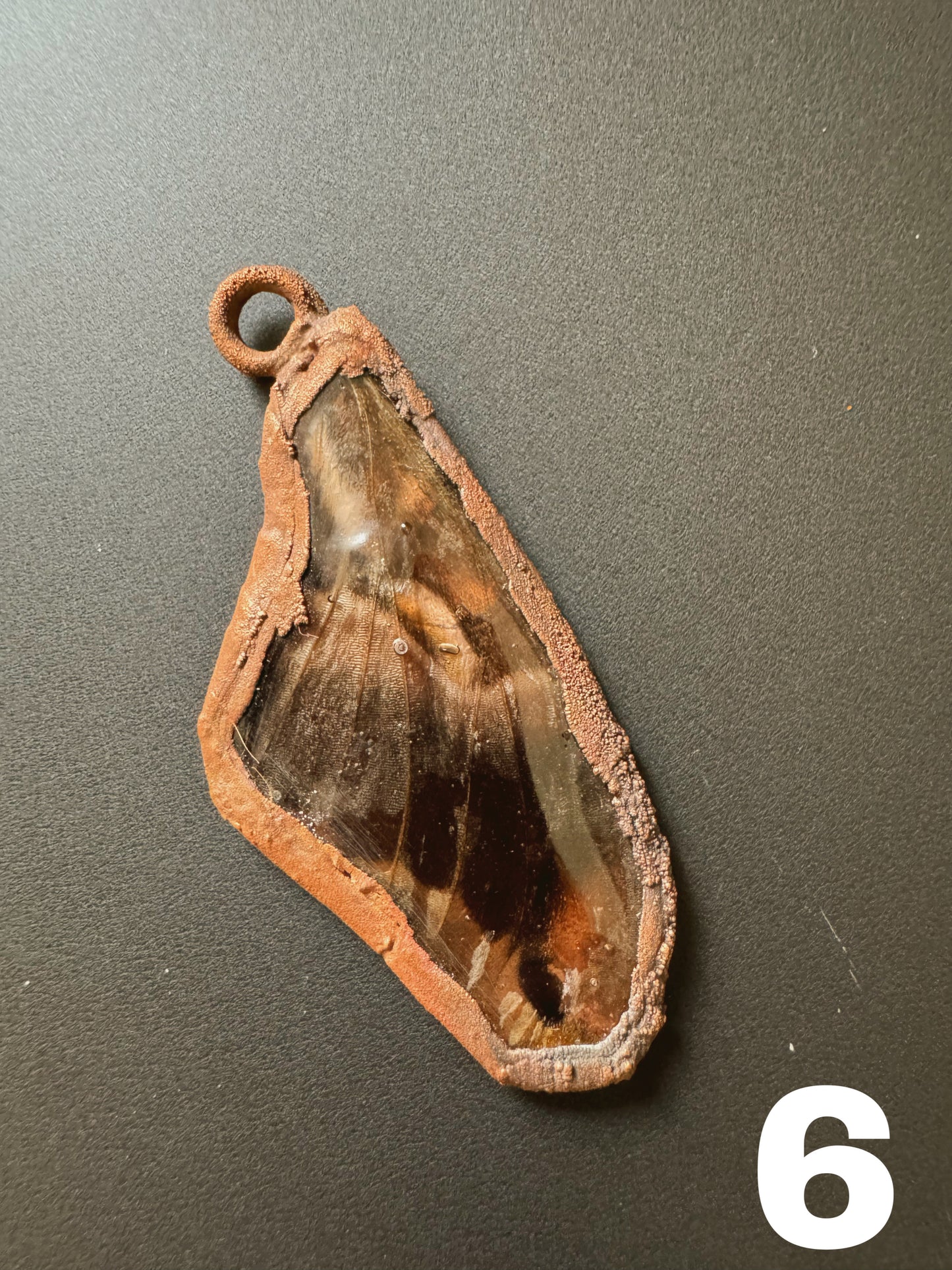 Nocturne Wings