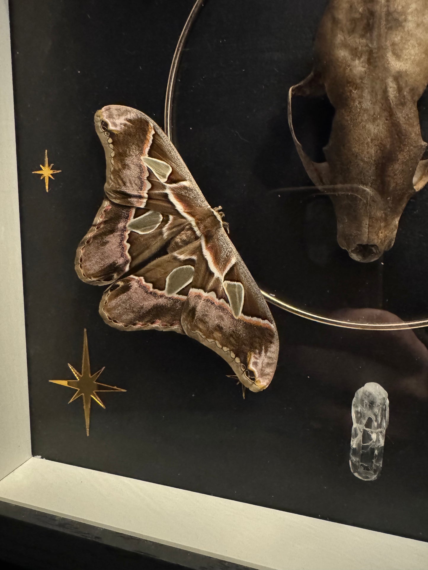 Guardian of the Veil