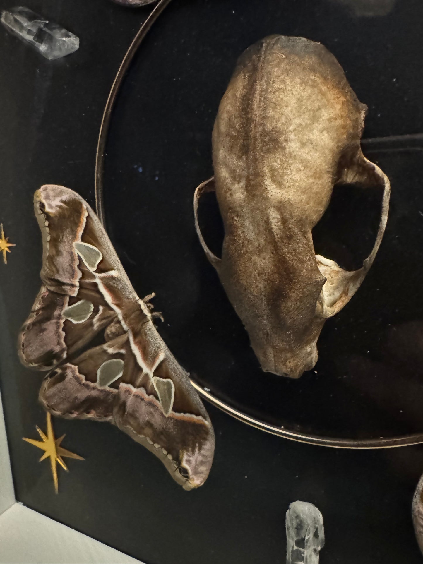 Guardian of the Veil