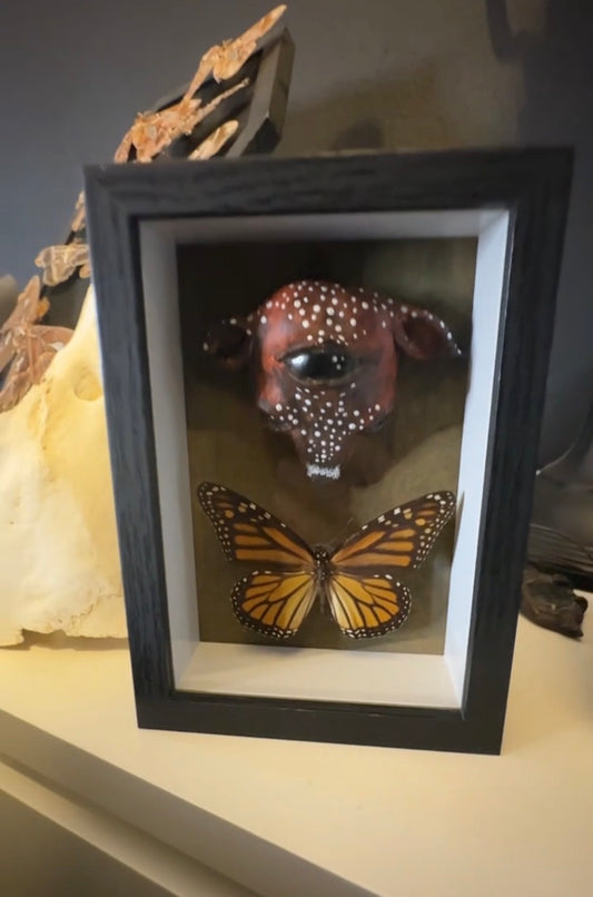 Fawn of the Third Eye