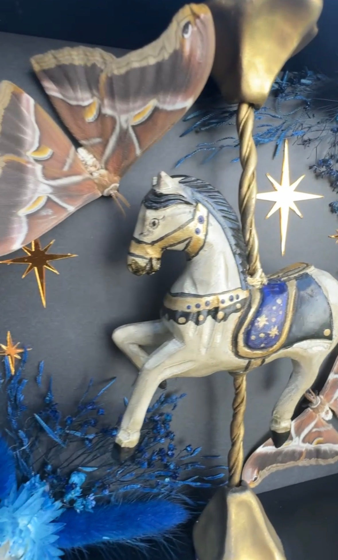 Midnight Carousel
