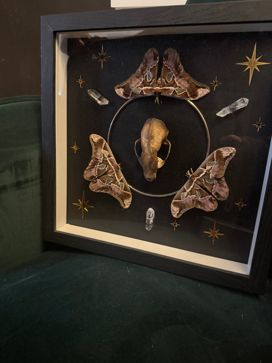 Guardian of the Veil