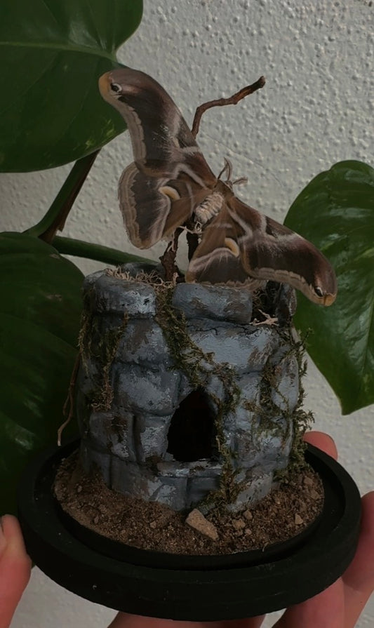 Tower Spirit