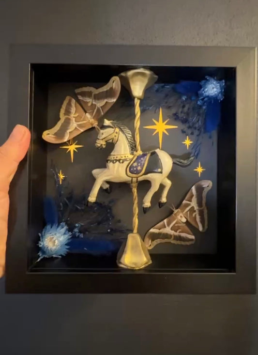Midnight Carousel