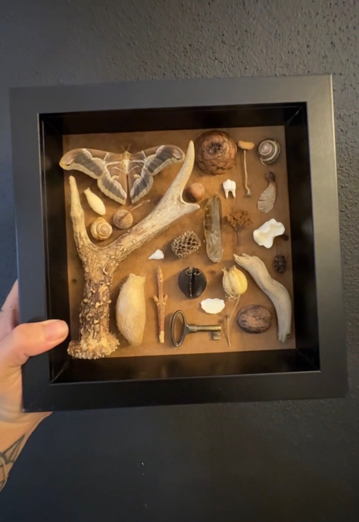 The Collector’s Cache