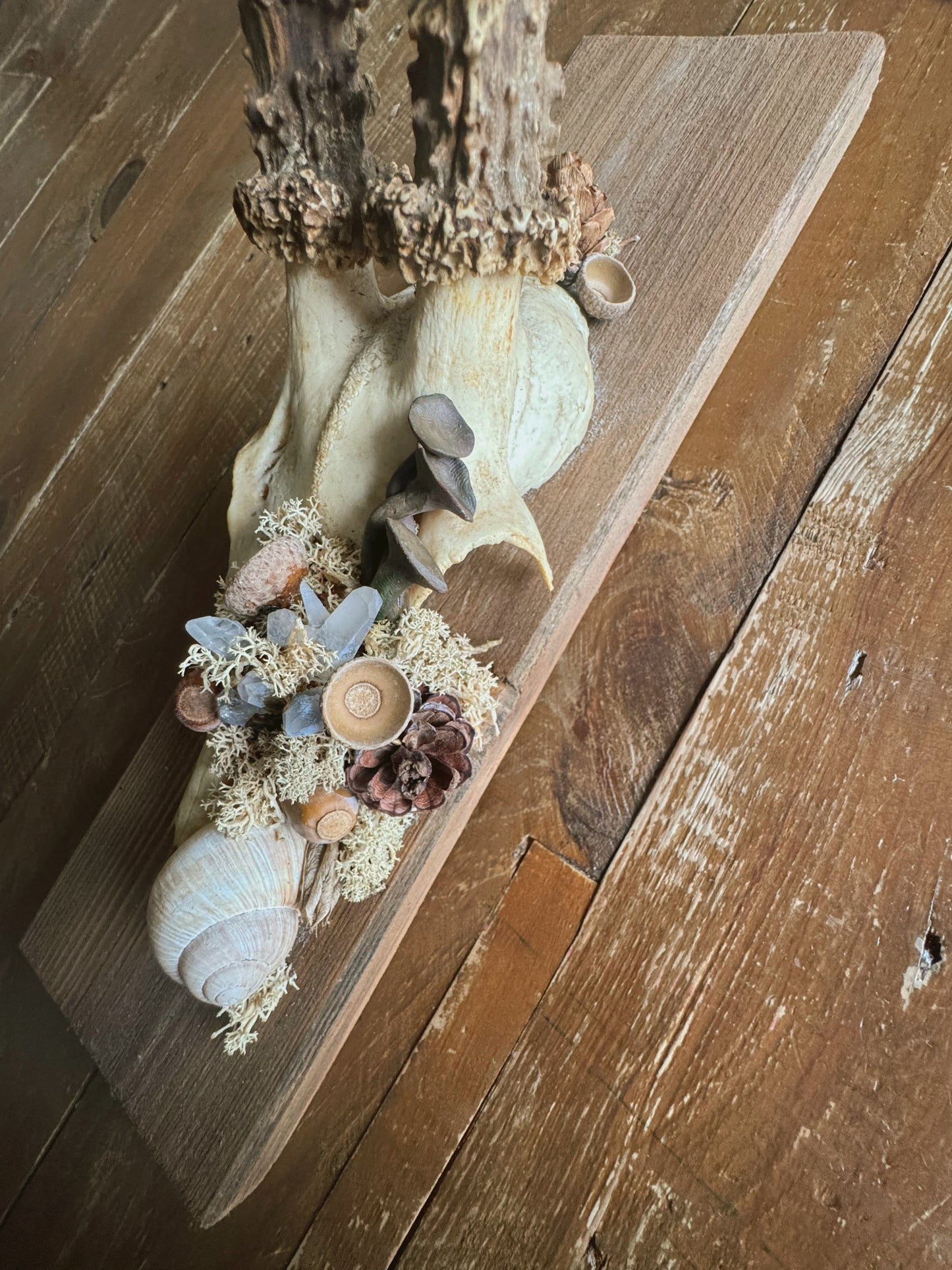 Hüter des Waldes